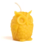 Pūcīte